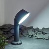 Borne lumineuse Moroni LED Anthracite, 1 lumière