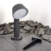 Borne lumineuse Moroni LED Anthracite, 1 lumière