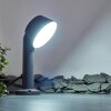 Borne lumineuse Moroni LED Anthracite, 1 lumière