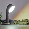 Borne lumineuse Moroni LED Anthracite, 1 lumière