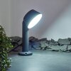 Borne lumineuse Moroni LED Anthracite, 1 lumière