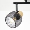 Giada Spot de plafond Luminaires Brilliant Noir, 2 lumières