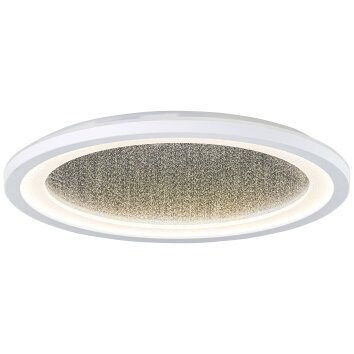 Tanida Panel Luminaires Brilliant LED Blanc, 1 lumière