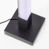 Neele Lampadaire Luminaires Brilliant LED Noir, 1 lumière, Télécommandes