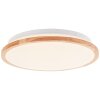 Bario Plafonnier Luminaires Brilliant LED Blanc, 1 lumière