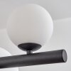 Chehalis Boule lumineuse, Suspension Blanc, 10 lumières