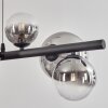 Chehalis Boule lumineuse, Suspension Clair, Fumé, 8 lumières