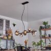 Chehalis Boule lumineuse, Suspension Clair, Fumé, 8 lumières