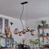 Chehalis Suspension, Boule lumineuse, Suspension Chrome, Fumé, 8 lumières