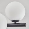 Gastor Plafonnier, Boule lumineuse Blanc, 8 lumières