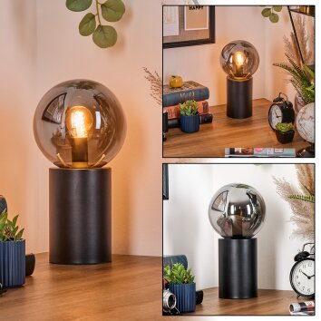 Gastor Boule lumineuse, Lampe de bureau, Lampe à poser Fumé, 1 lumière