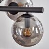 Gastor Suspension, Boule lumineuse, Suspension Fumé, 8 lumières