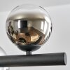 Chehalis Suspension, Boule lumineuse, Suspension Chrome, Clair, Fumé, 10 lumières