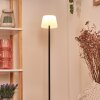 Longchamps Lampadaire LED Noir, 1 lumière