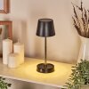 Amien Lampe de table d'extérieur, Lampe à poser LED Noir, Argenté, 1 lumière