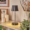 Amien Lampe de table d'extérieur, Lampe à poser LED Noir, Argenté, 1 lumière