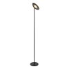 ZENITH Lampadaire Luminaires Lucide LED Noir, 1 lumière