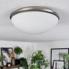 Banan Plafonnier, Spot de plafond Nickel mat, 2 lumières