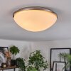 Banan Plafonnier, Spot de plafond Nickel mat, 2 lumières