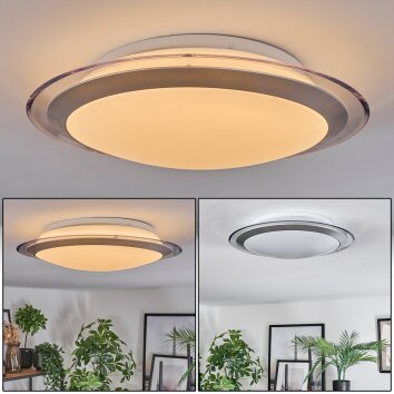 Calen Plafonnier, Spot de plafond LED Blanc, 1 lumière