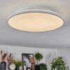 Norea Plafonnier, Spot de plafond LED Blanc, 1 lumière