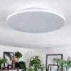 Norea Plafonnier, Spot de plafond LED Blanc, 1 lumière