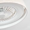 Benasal Plafonnier, Ventilateur de plafond lumineux LED Blanc, 1 lumière, Télécommandes