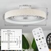 Benasal Plafonnier, Ventilateur de plafond lumineux LED Blanc, 1 lumière, Télécommandes