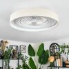 Benasal Plafonnier, Ventilateur de plafond lumineux LED Blanc, 1 lumière, Télécommandes