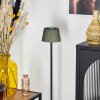 Longchamps Lampadaire LED Noir, 1 lumière