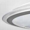 Arima Plafonnier LED Gris, Blanc, 1 lumière