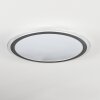 Arima Plafonnier LED Gris, Blanc, 1 lumière