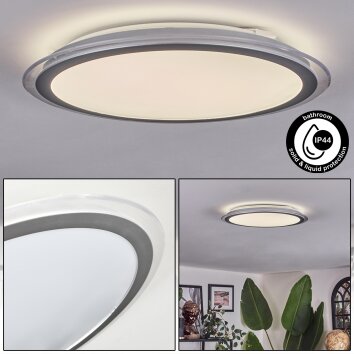 Arima Plafonnier LED Gris, Blanc, 1 lumière