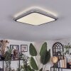 Arima Plafonnier LED Gris, Blanc, 1 lumière