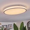 Arima Plafonnier LED Gris, Blanc, 1 lumière