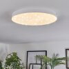 Mentque Plafonnier LED Blanc, 1 lumière