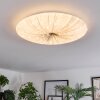 Vogorno Plafonnier LED Blanc, 1 lumière