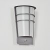 Lamarche Lampe murale d´extérieur, Applique murale LED Gris, 2 lumières, Détecteur de mouvement