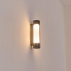 Biran Lampe murale d´extérieur, Applique murale LED Anthracite, 1 lumière