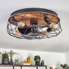 Tourais Plafonnier, Ventilateur de plafond lumineux LED Couleur bois, Noir, 4 lumières, Télécommandes