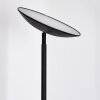 Dillingby Lampadaire LED Noir, 1 lumière