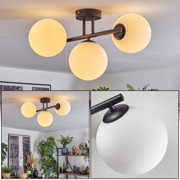 Gastor Plafonnier, Boule lumineuse Blanc, 3 lumières