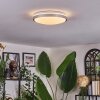 Sapioris Plafonnier LED Nickel mat, Blanc, 1 lumière