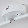 Gjedso Plafonnier, Spot de plafond LED Chrome, Blanc, 4 lumières