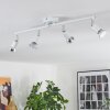 Gjedso Plafonnier, Spot de plafond LED Chrome, Blanc, 4 lumières