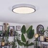 Kelan Plafonnier LED Argenté, 1 lumière