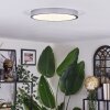 Kelan Plafonnier LED Argenté, 1 lumière