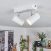 Gesteira Plafonnier, Spot de plafond Blanc, 2 lumières