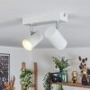 Gesteira Plafonnier, Spot de plafond Blanc, 2 lumières