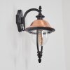 Gascon Lampe murale d´extérieur, Applique murale Cuivre, Noir, 1 lumière